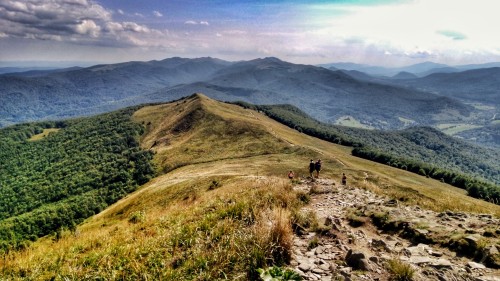 Szlak i połoniny w Bieszczadach
