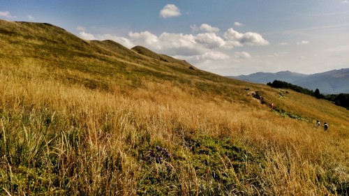 Połoniny Bieszczadów