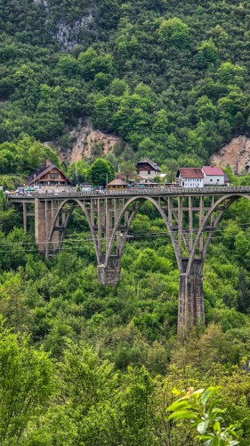 Fot. Beata Kośmider