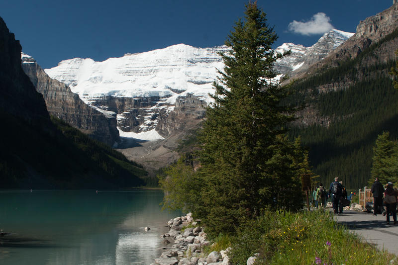 W drodze do Plain of Six Glaciers (fot. Beata Muchowska)