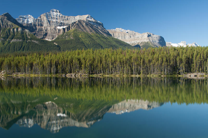 Góry Skaliste - Icefields Parkway (fot. Beata Muchowska)