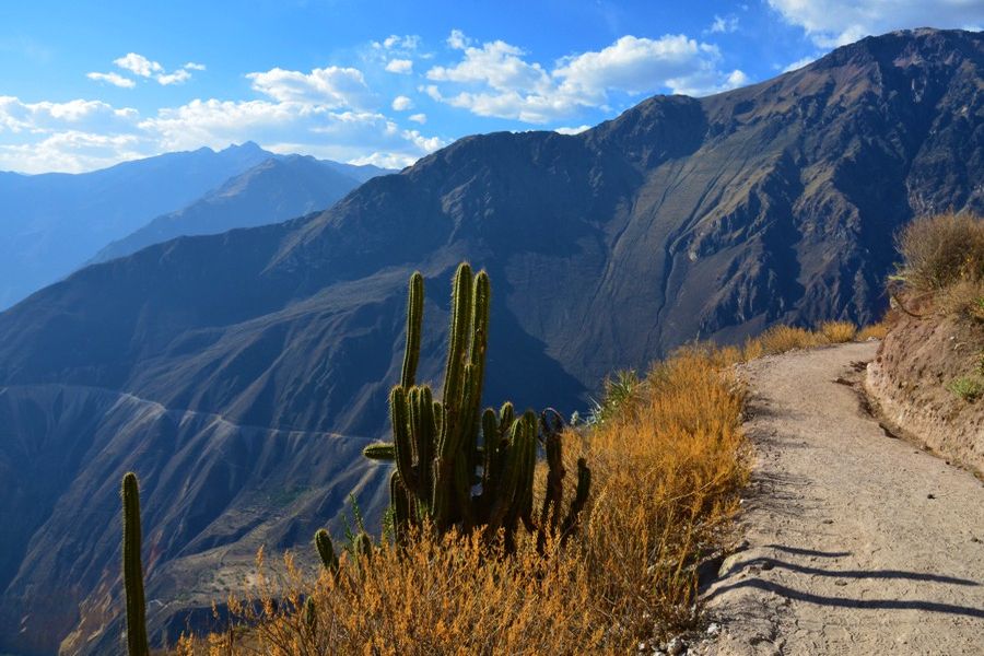 Początek trekkingu do kanionu Colca (fot. Marta Podleśna-Nowak)