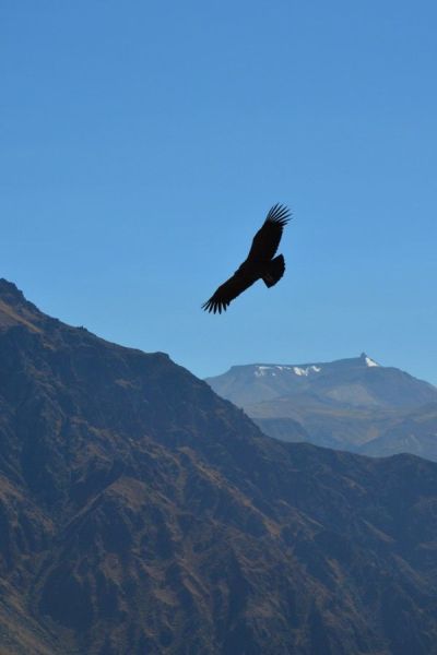 Cruz del Condor (fot. Marta Podleśna-Nowak)