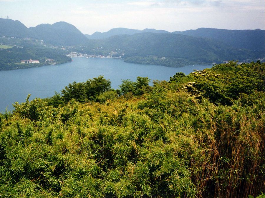 Park Narodowy Nikko (fot. Tadeusz Andruchow)