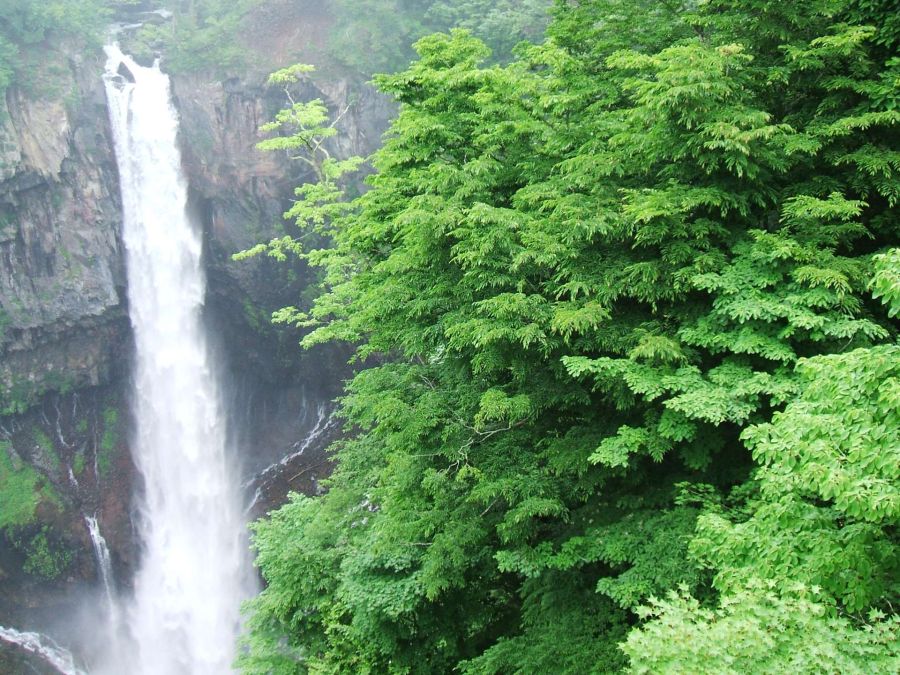 Park Narodowy Nikko (fot. Maciej Głabuś)