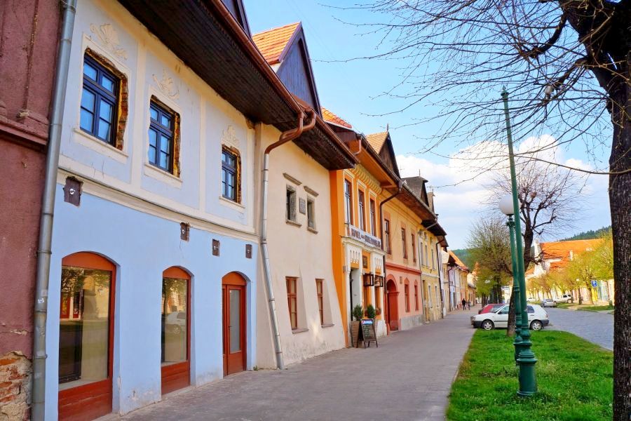 fot. Mirosława Jeż