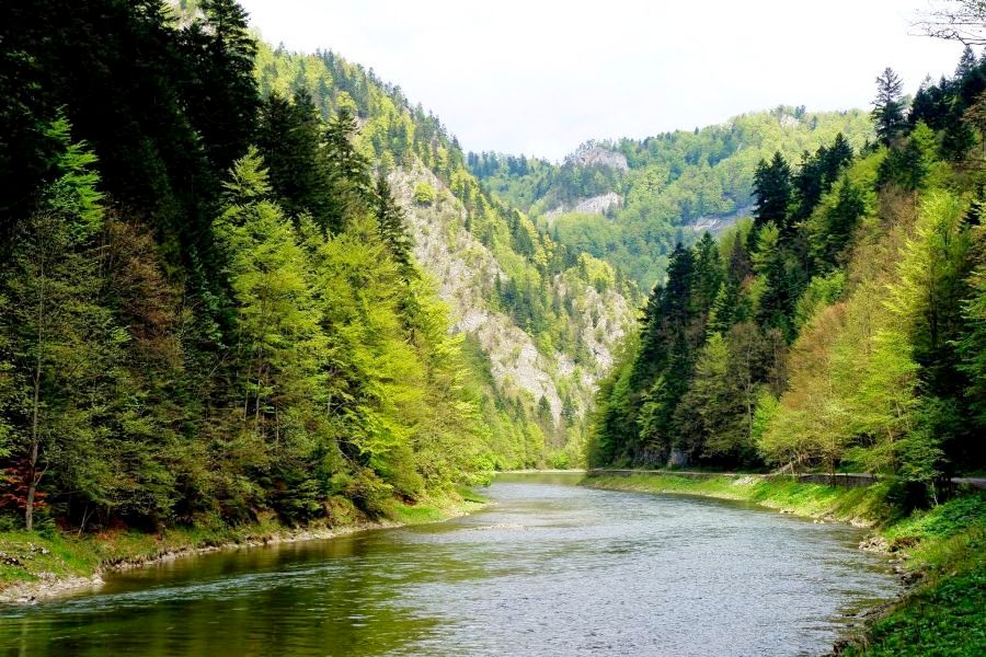 fot. Mirosława Jeż