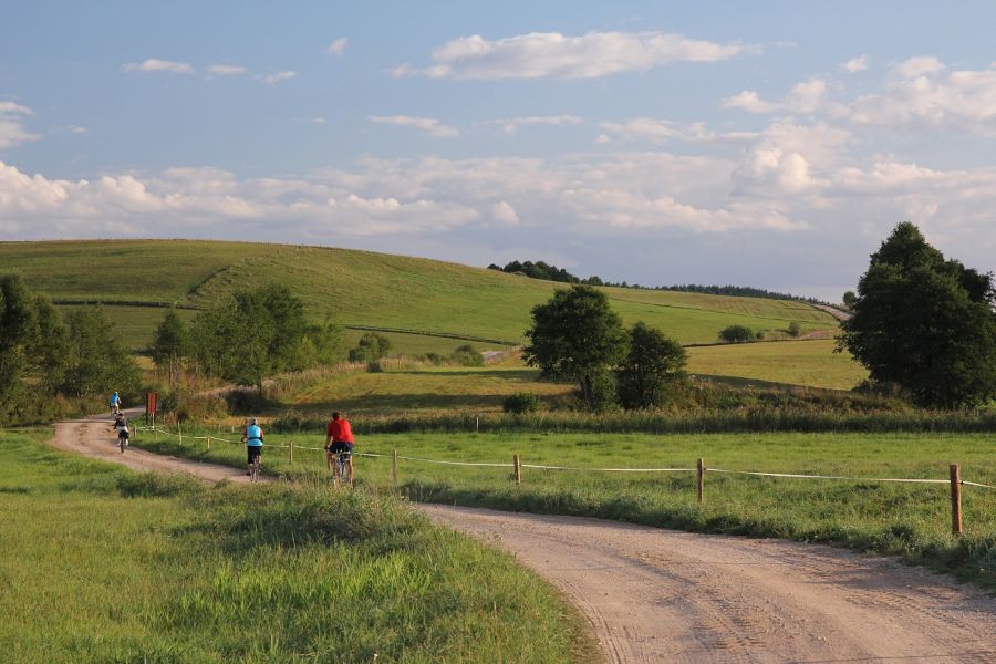 Drogą polną (fot. Rafał Bartosz)