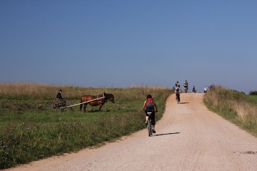 W Nowodworskim Parku Regionalnym (fot. Rafał Bartosz)