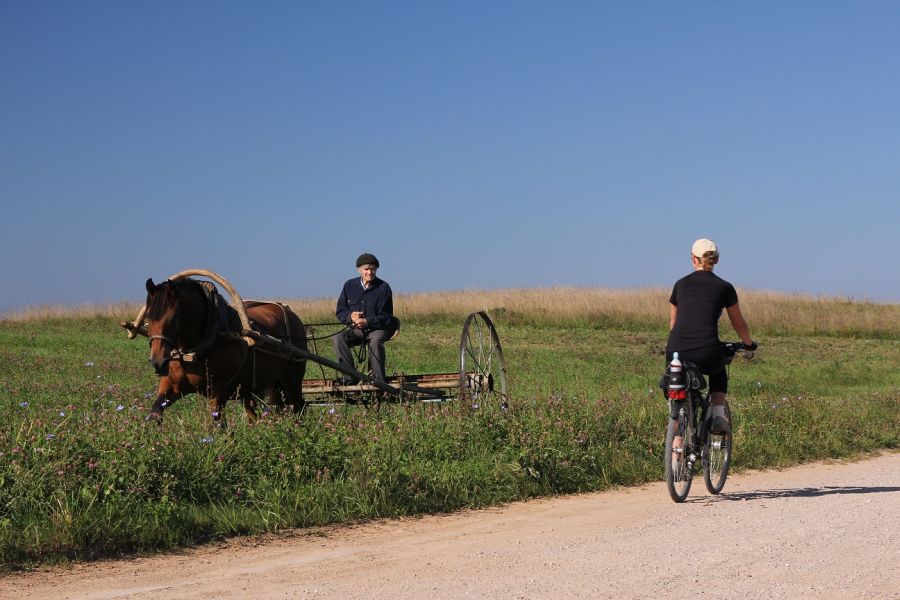 W Nowodworskim Parku Regionalnym (fot. Rafał Bartosz)