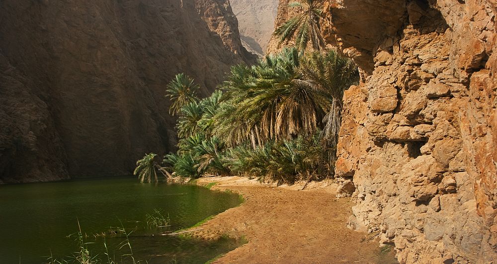Wadi Shab fot. Beata Muchowska