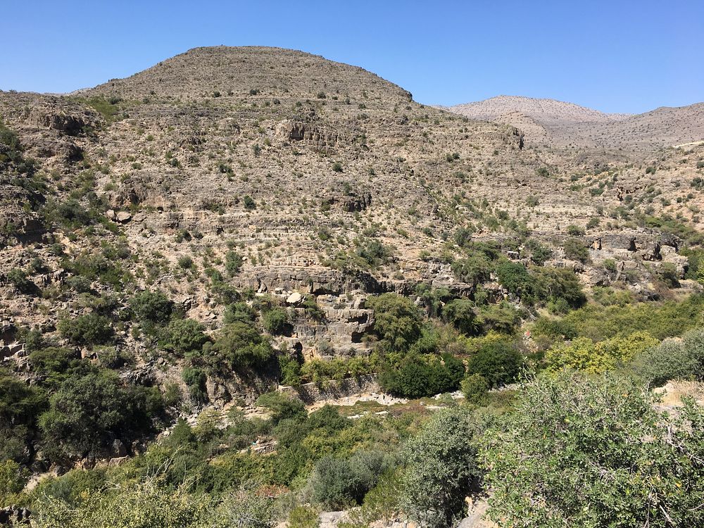 fot. Beata Muchowska