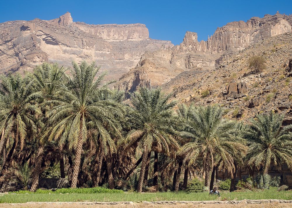 Wadi Nakhr fot. Beata Muchowska