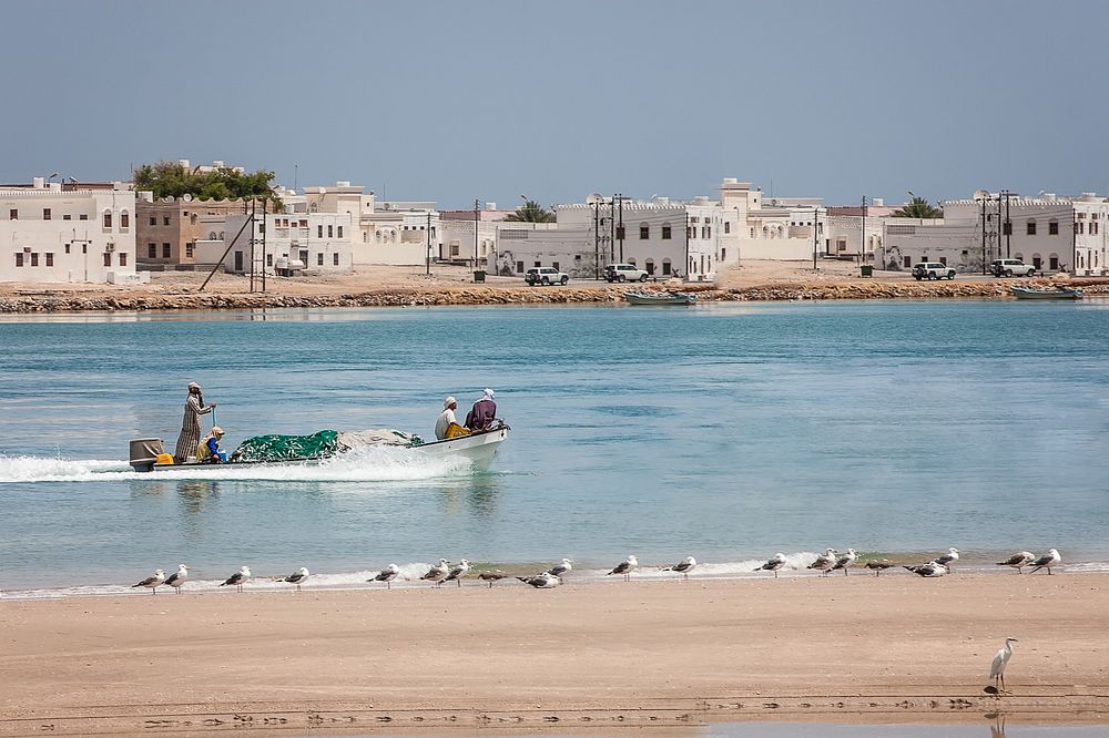 Sur fot. Beata Muchowska