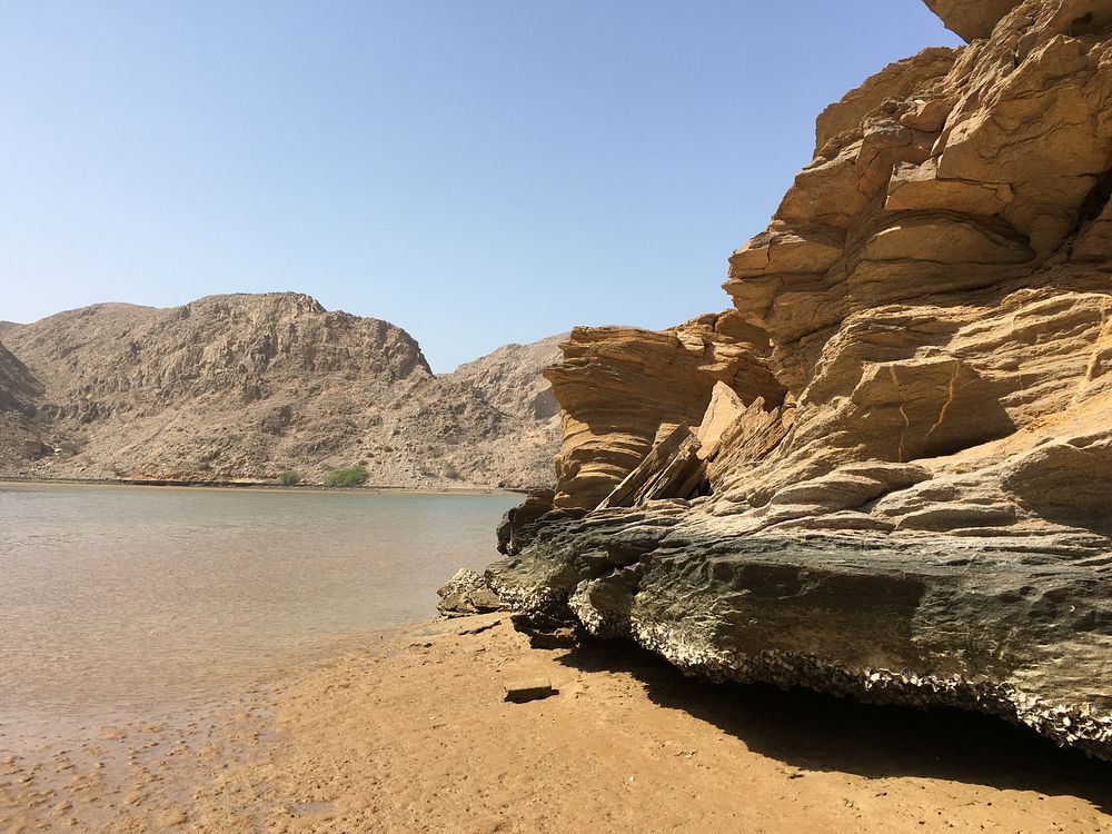 fot. Beata Muchowska