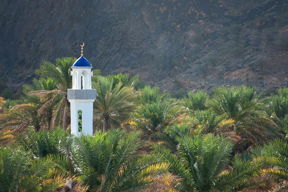 fot. Beata Muchowska