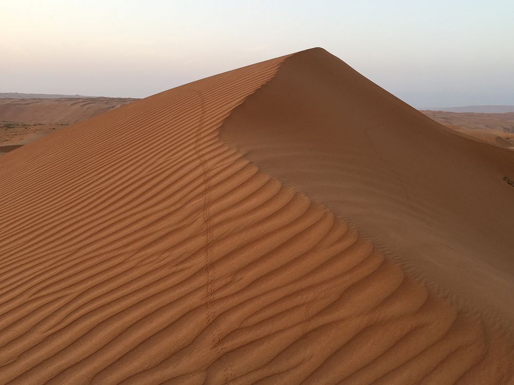 Pustynia Wahiba fot. Beata Muchowska