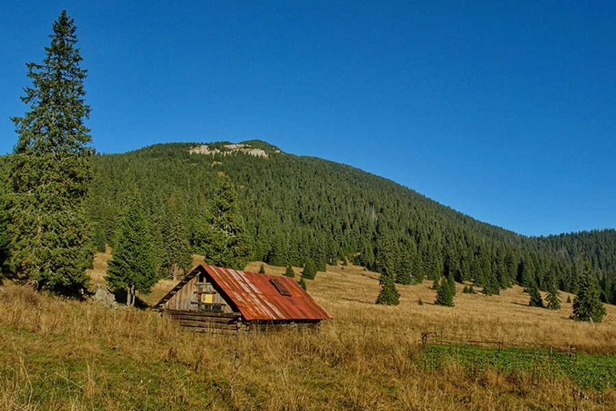 Pośrednia Polana, a nad nią kopuła szczytowa Wielkiego Chocza (fot. Paweł Klimek)