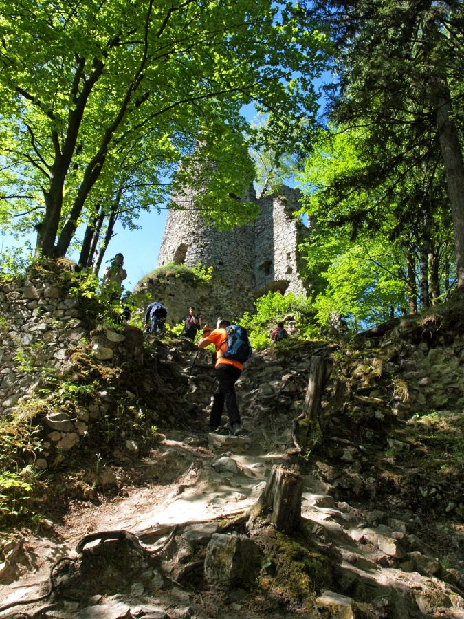 Szlakiem na Stary Hrad (fot. Paweł Klimek)