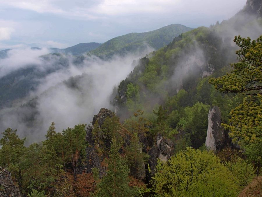 Po deszczu w Janosikowych Dierach… (fot. Paweł Klimek)