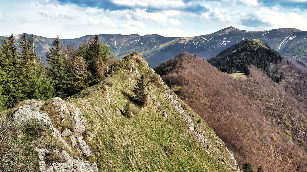 Na grzbiecie Baraniarek w Małej Fatrze –z tyłu Wielki Krywań (fot. Paweł Klimek)