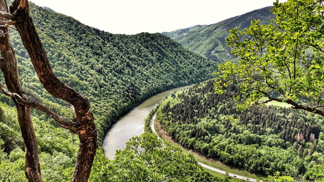 Widok ze Starego Hradu na dolinę Wagu (fot. Paweł Klimek)