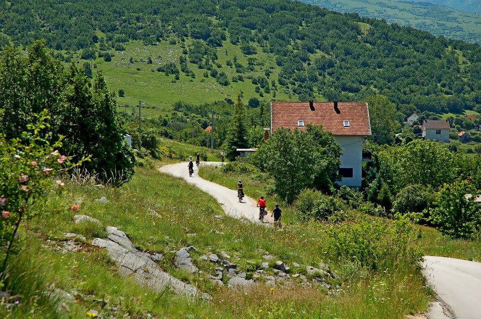 fot. Michał Pędziszewski