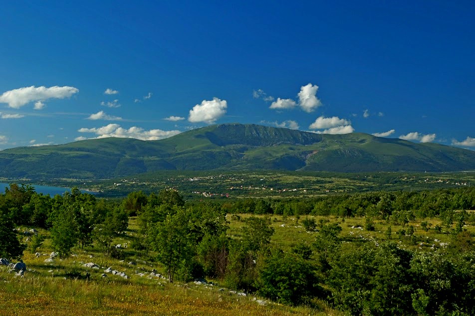 fot. Michał Pędziszewski