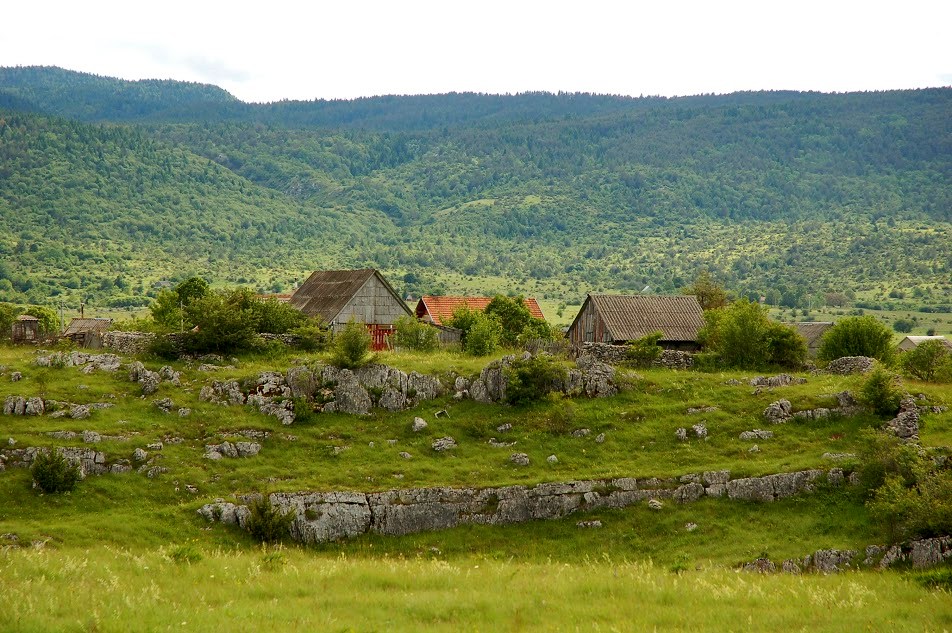 fot. Michał Pędziszewski