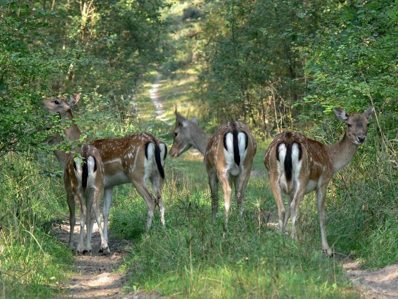 fot. Przemek Kunysz