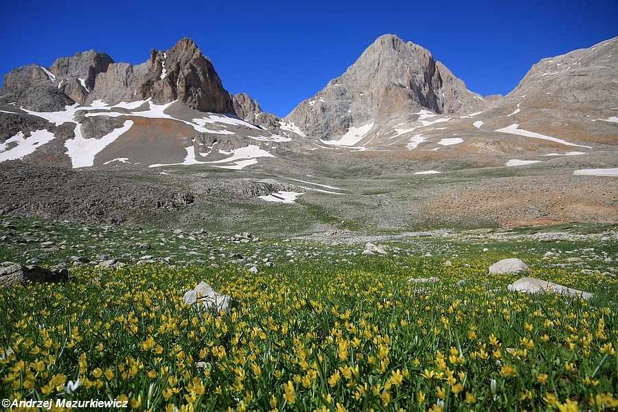 fot. Katarzyna Mazurkiewicz