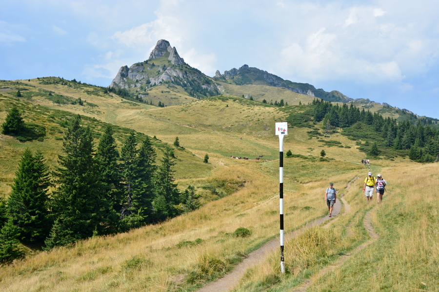 fot. Mateusz Tomaszczyk