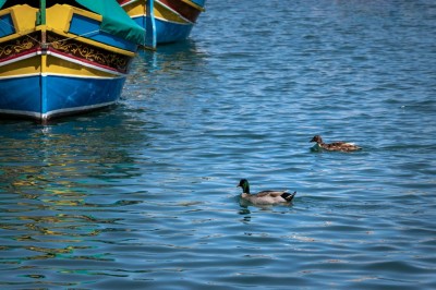 W porcie rybackim (fot. S. Adamczak, okfoto.pl)
