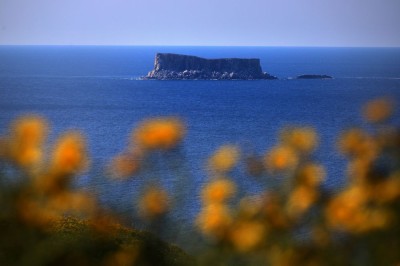 Wysepka Filfla u wybrzeży Malty (fot. S. Adamczak, okfoto.pl)