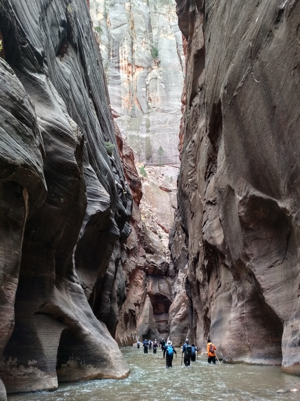 The Narrows w Zion NP (fot. Krzysztof Korn)