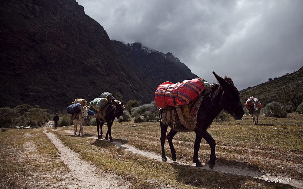 Cordillera Blanca (fot. S. Adamczak, okfoto.pl)