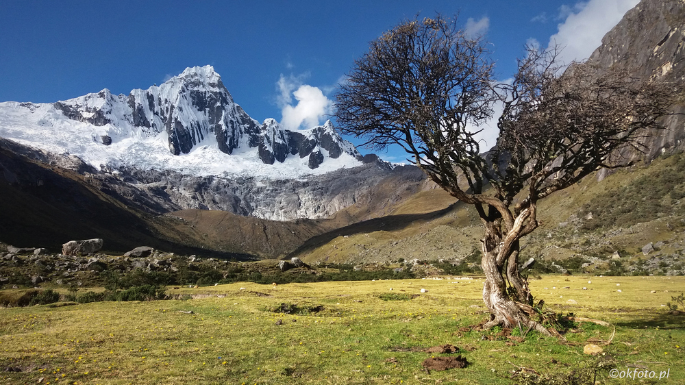 Cordillera Blanca (fot. S. Adamczak, okfoto.pl)