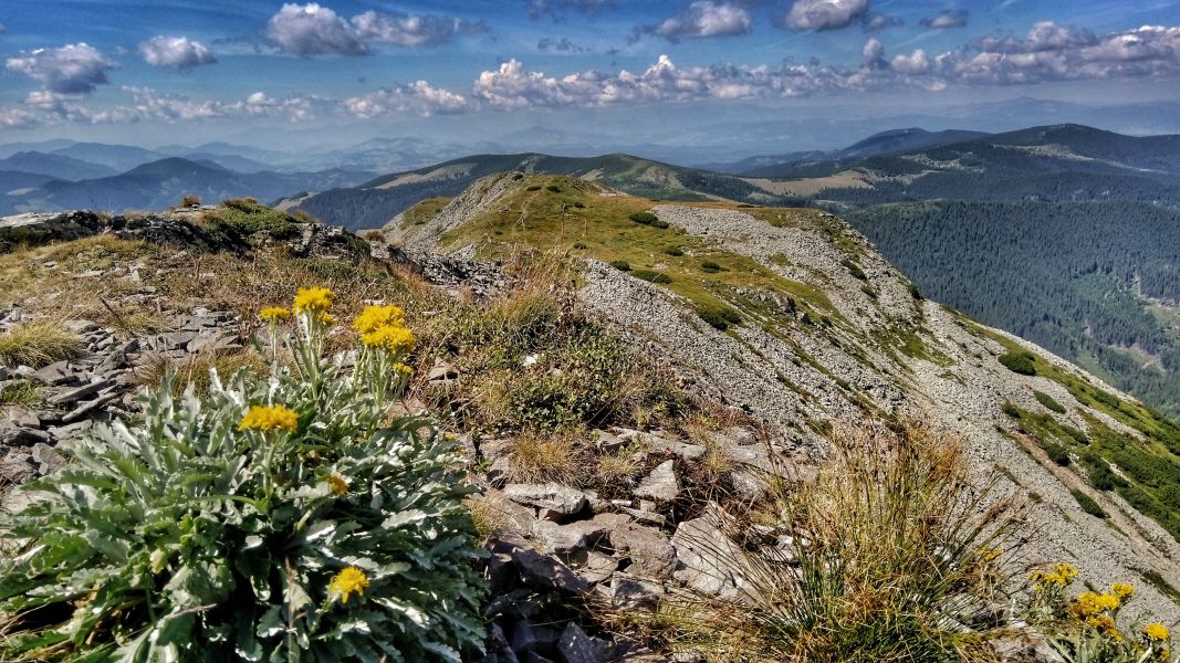 Bezkres gór Bukowiny (fot. Paweł Klimek)