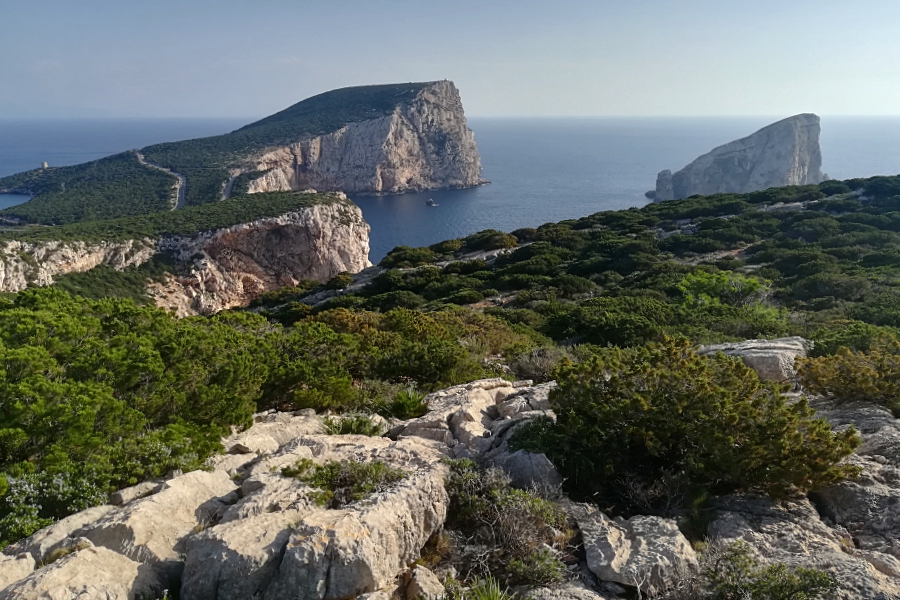 Widok na Capo Caccia, fot. Wojtek Wąsowicz