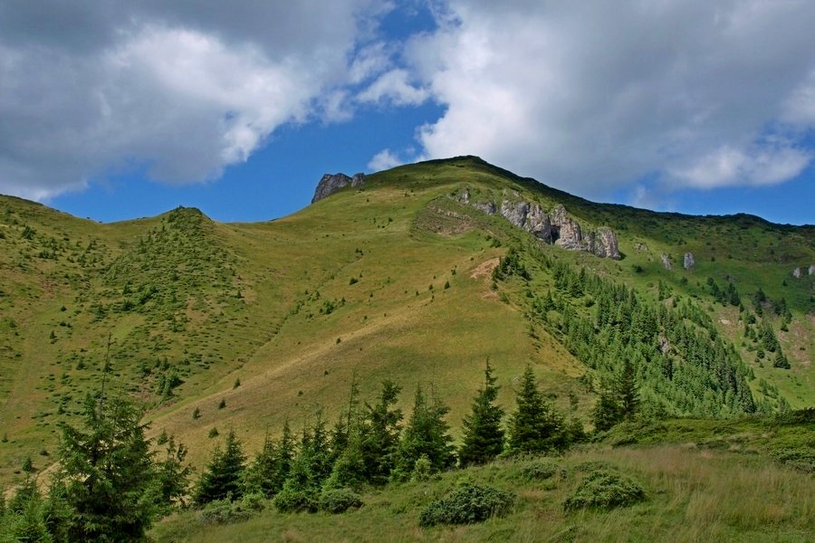 Cearcanul w innej odsłonie… (fot. Paweł Klimek)