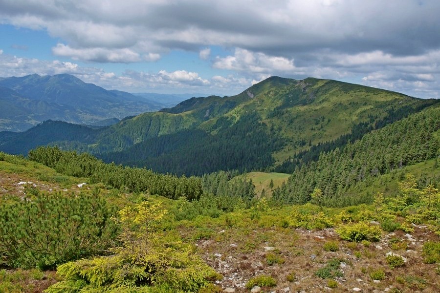 Widok na Cearcanul, w oddali Pietrosul (fot. Paweł Klimek)