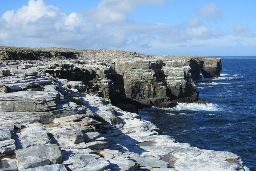 fot. Copyright SSL Falklands