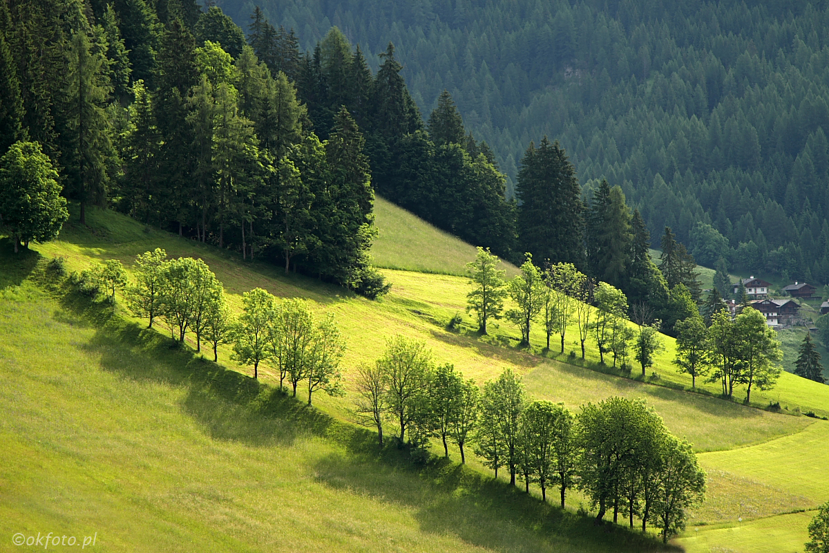 Dolomity, fot. S. Adamczak, okfoto.pl