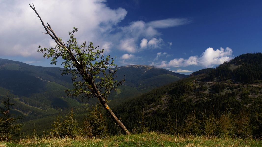 W masywie Śnieżnika (fot. Paweł Klimek)