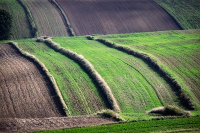 Ponidzie  /fot. S. Adamczak/