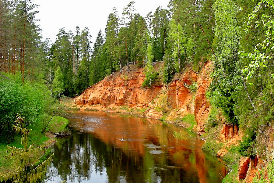 W Parku Narodowym Gauja