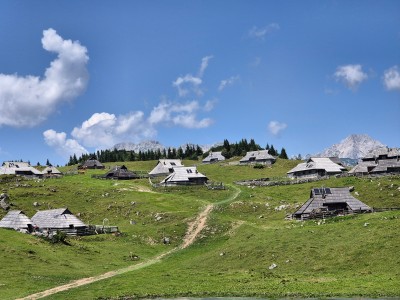 Szałasy na Velikej Planinie (fot. Sebastian Kopera)