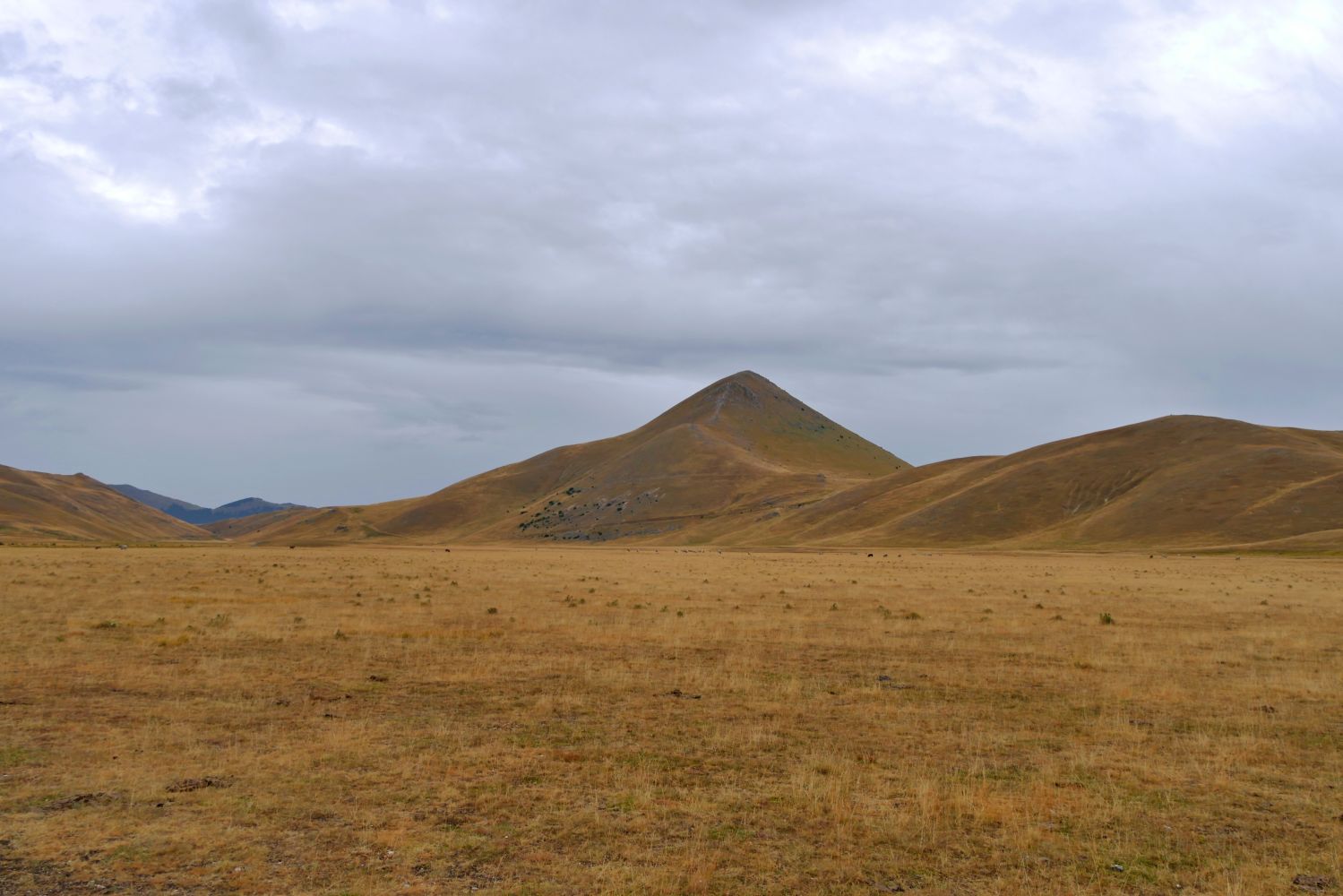 fot. Przemek Budzowski