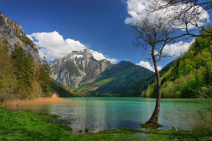 Jezioro Leopoldsteinersee