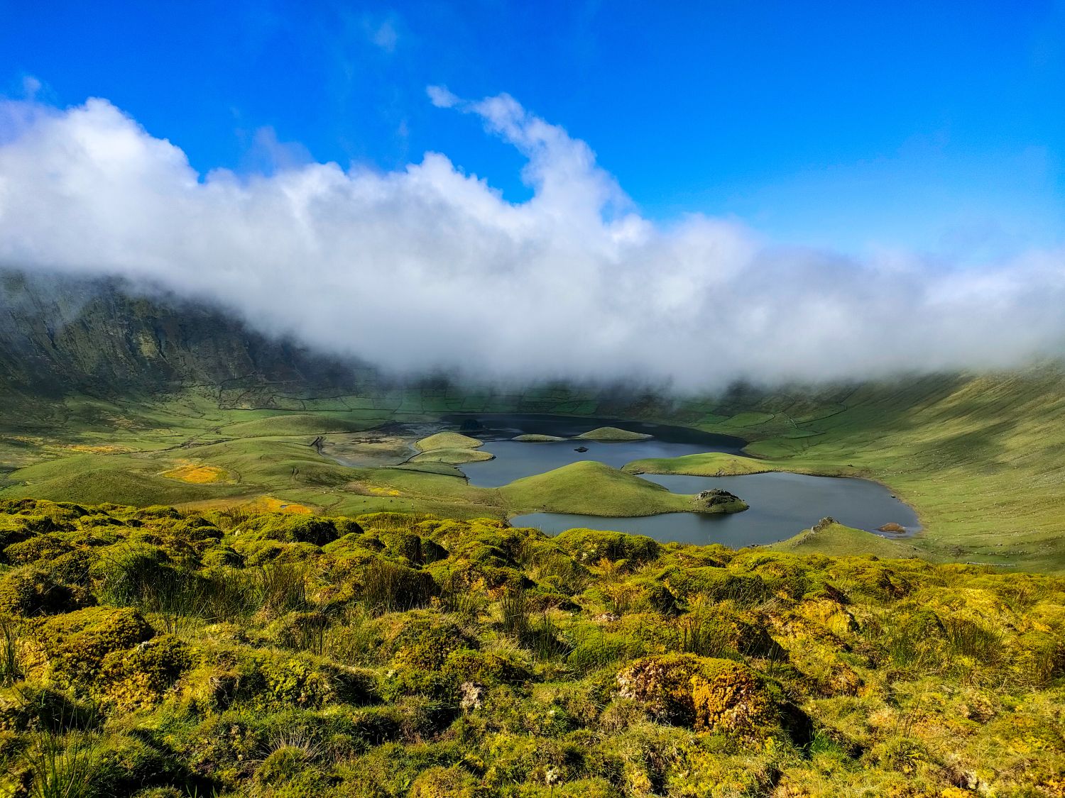 Corvo, Caldeirão (fot. Milena Dąbrowska)